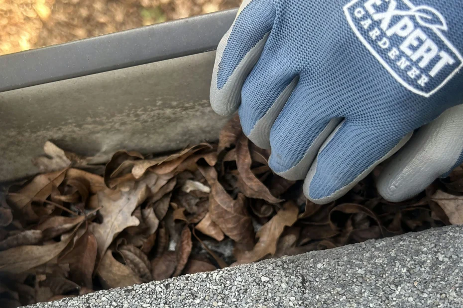 Gutter Cleaning Collierville TN