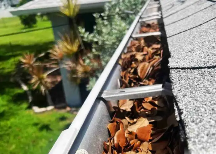 Gutter Cleaning Collierville TN home page